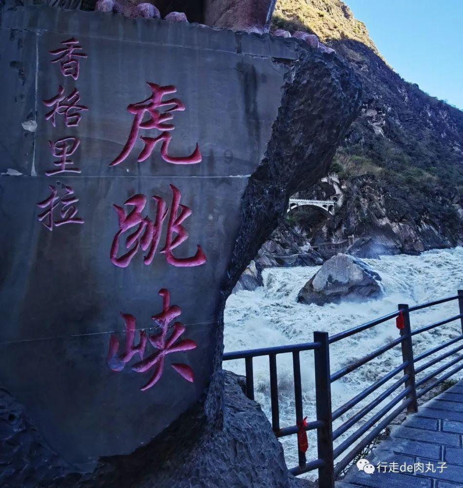 为金融强省贡献农发力量
